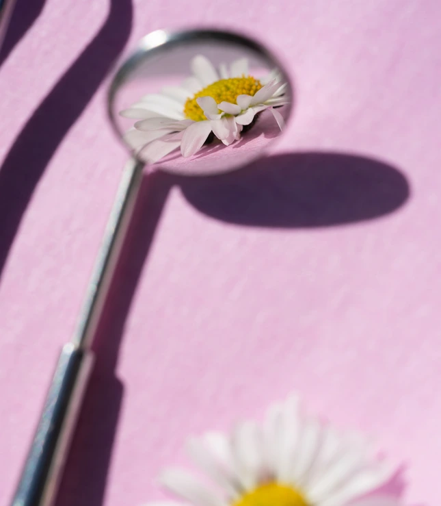 Masticazione corretta